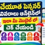 Cheyutha Pensioner Details Search Online Using Mobile in Telangana